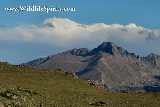 Click Picture to send as an  E-PostCard 66k 550x367